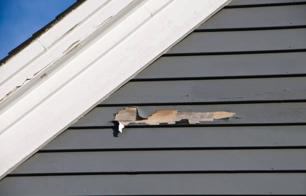 Shed Removal in Fremont, MI